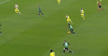 动画 (1107).gif